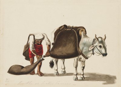 Woźnica, c1810 autorstwa Sewak Ram