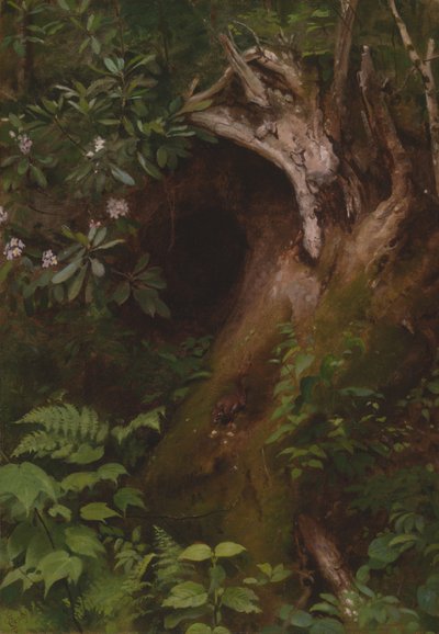 Wiewiórka autorstwa Seymour Joseph Guy