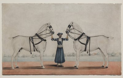 Syce (pan młody) trzymający dwa konie zaprzęgowe, ok. 1845 (nieprzezroczysta akwarela na papierze) autorstwa Shaik Muhammad Amir of Karraya (attr. to)