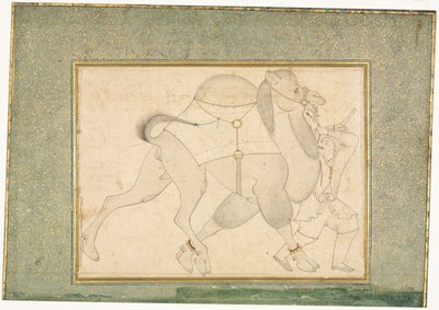 Wielbłąd i oczyszczenie, ilustracja na jednej stronie, c. 1545-1576. autorstwa Shaykh Muhammad
