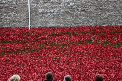 Krwawe ziemie i morza czerwieni, Tower of London, 2014. autorstwa Sheldon Marshall