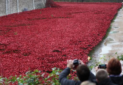 Krwawe ziemie i morza czerwieni, Tower of London, 2014. autorstwa Sheldon Marshall
