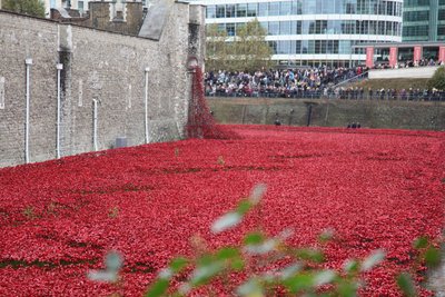 Krwawe ziemie i morza czerwieni, Tower of London, 2014. autorstwa Sheldon Marshall