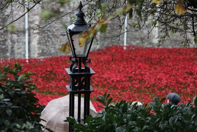 Krwawe ziemie i morza czerwieni, Tower of London, 2014. autorstwa Sheldon Marshall