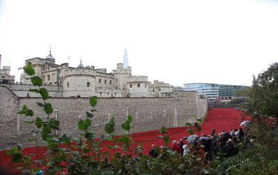 Krwawe ziemie i morza czerwieni, Tower of London, 2014. autorstwa Sheldon Marshall