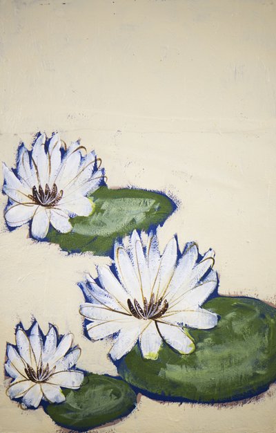  autorstwa Shelley Hampe