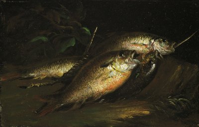 Ryba, 1842. autorstwa Shepard Alonzo Mount