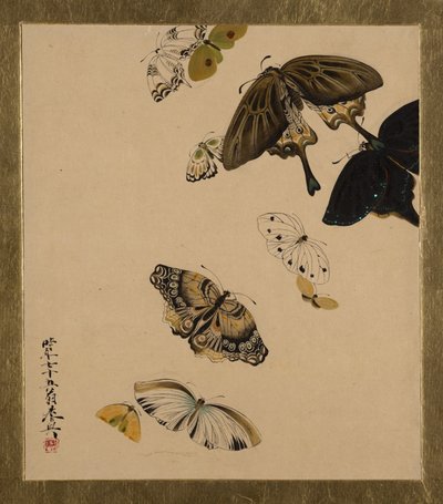 Malowidła lakierowane o różnej tematyce: motyle, dat. 1881. autorstwa Shibata Zeshin