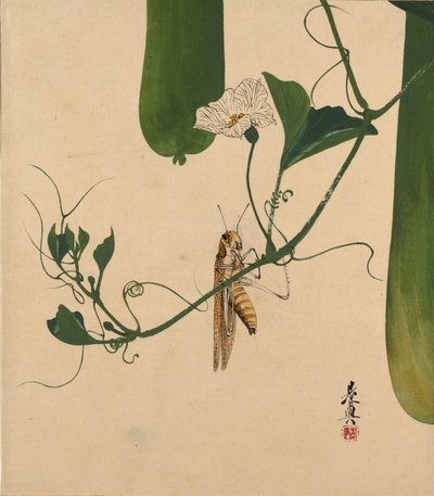 Lakierowe obrazy z różnych przedmiotów: Konik polny na winorośli tykwy, 1882. autorstwa Shibata Zeshin