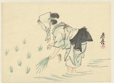 Kobieta sadząca ryż autorstwa Shibata Zeshin
