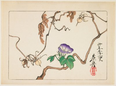  autorstwa Shibata Zeshin