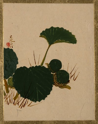 Robak na zielonolistnej roślinie. autorstwa Shibata Zeshin