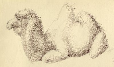 Wielbłąd, ok. 1951. autorstwa Shirley Markham