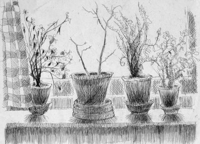 Martwe rośliny na parapecie, 1952. autorstwa Shirley Markham