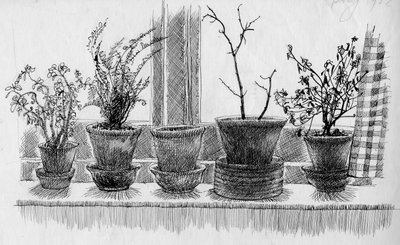 Martwe rośliny na parapecie, 1952. autorstwa Shirley Markham