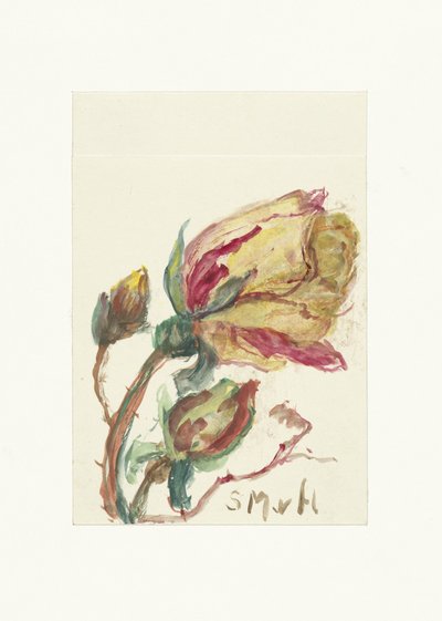Roos autorstwa Sientje Mesdag van Houten