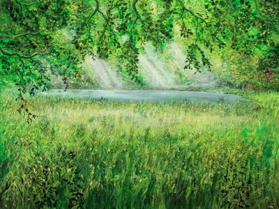 Naturalny parasol autorstwa Silvian Sternhagel