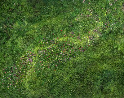 Widok z lotu ptaka autorstwa Silvian Sternhagel