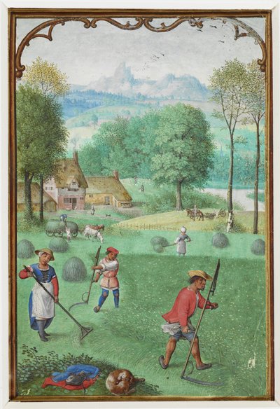 Dodaj MS 18855 f.109v Lipiec: żniwa, siew, z Księgi Godzin, c.1540 (welum) autorstwa Simon Bening