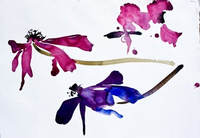 Zawilce (akwarela na papierze) autorstwa Simon Fletcher