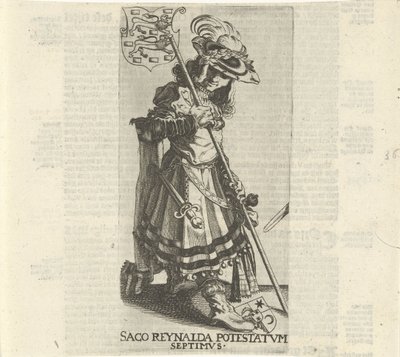 Torba Reinaldy autorstwa Simon Frisius