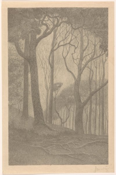 Bomen (tytuł oryginalny) autorstwa Simon Moulijn (signed by artist)