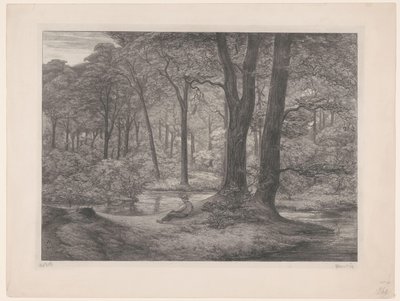 Las ze stawem i leżącym mężczyzną Las Teutoburski (widok na las) (tytuł oryginalny) autorstwa Simon Moulijn (signed by artist)