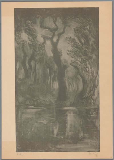 Woda w lesie Las marzeń (tytuł oryginalny) autorstwa Simon Moulijn (signed by artist)
