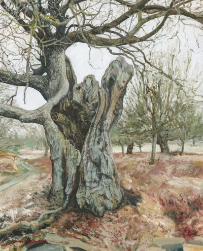 Stare drzewo, Richmond Park, 2018 (olej na płótnie) autorstwa Simon Neville