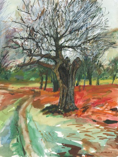 Stare drzewo, Richmond Park, 2019 (ołówek akwarelowy i farba akrylowa na papierze) autorstwa Simon Neville