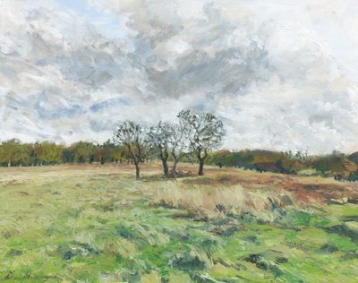 Richmond Park (olej na płótnie) autorstwa Simon Neville