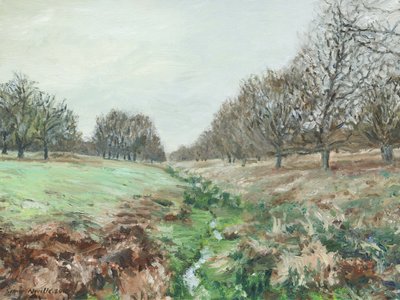 Richmond Park (olej na płótnie) autorstwa Simon Neville
