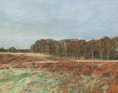 Richmond Park, 2019 (olej na płótnie) autorstwa Simon Neville