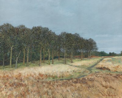 Woodland, Richmond Park, 2019 (olej na płótnie) autorstwa Simon Neville