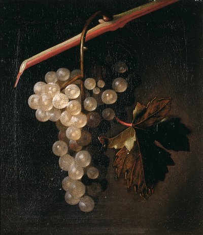 Kiść winogron wisząca przed kamiennym murem, 1709 autorstwa Simon Peeterz Verelst