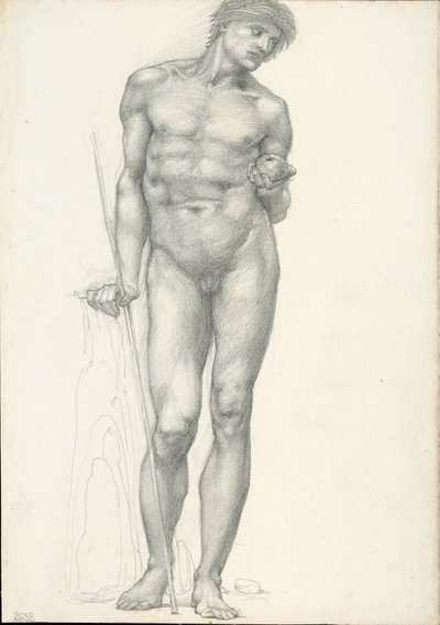 Paryż ze Złotym Jabłkiem w Lewej Ręce, za Tryptyk Trojański (szkicownik #2638) autorstwa Sir Edward Burne Jones