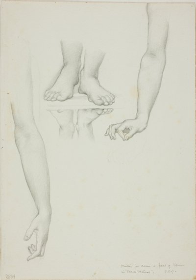 Studium dla Lustra Wenus: Ramiona i Stopy Wenus autorstwa Sir Edward Burne Jones