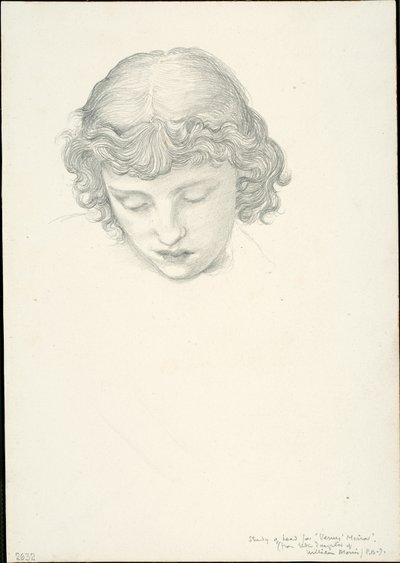 Studium dla Lustra Wenus: Głowa autorstwa Sir Edward Burne Jones
