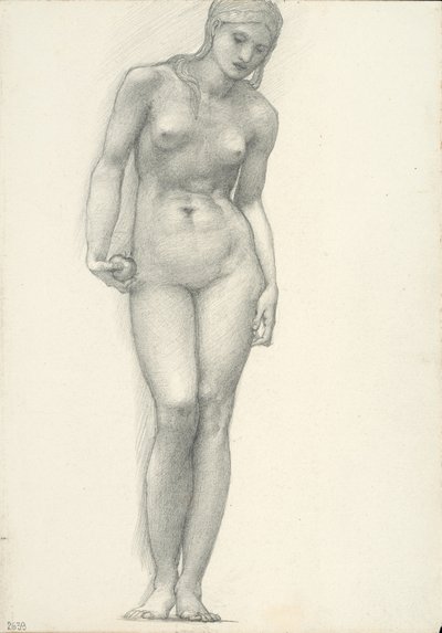 Wenus ze Złotym Jabłkiem w Prawej Ręce, do Tryptyku Trojańskiego (szkicownik #2639) autorstwa Sir Edward Burne Jones
