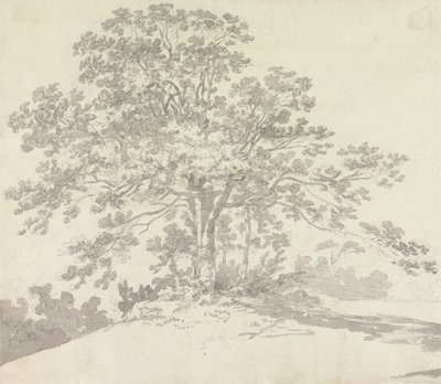 Drzewo autorstwa Sir George Howland Beaumont seventh Baronet