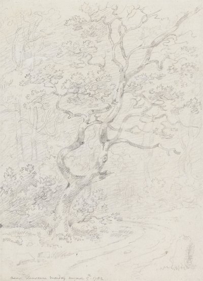 Drzewa, Blisko Lozanny autorstwa Sir George Howland Beaumont seventh Baronet