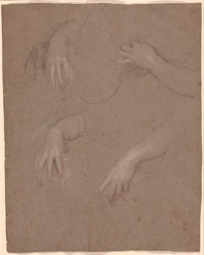 Rysunki rąk autorstwa Sir Peter Lely