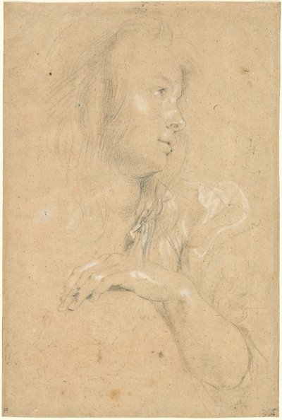 Młoda kobieta w profilu autorstwa Sir Peter Paul Rubens