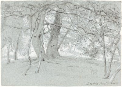 Drzewa w Box Hill autorstwa Sir William Blake Richmond
