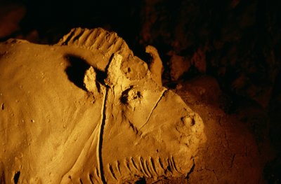 Detal żubra uformowanego z gliny około 14 000 lat temu z jaskini Tuc d