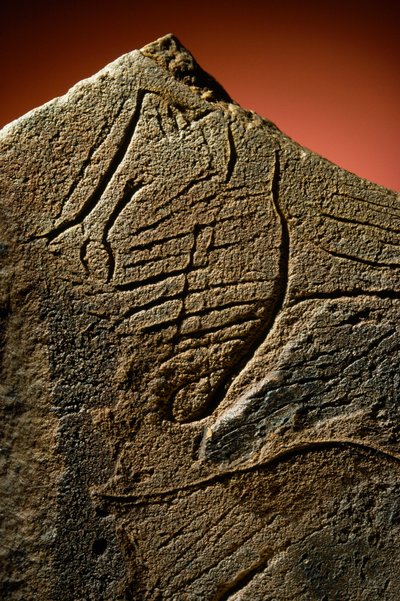 Elegancki grawerunek ludzkiego profilu znaleziony na prehistorycznej skrytce wapiennej. autorstwa Sisse Brimberg