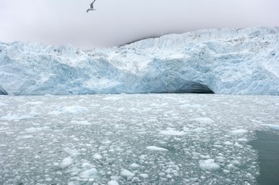 Kawałki lodu z pobliskich lodowców unoszą się na morzu arktycznym, Wyspy Svalbard, Norwegia, 2022 r. (zdjęcie ilustracyjne) autorstwa Sisse Brimberg