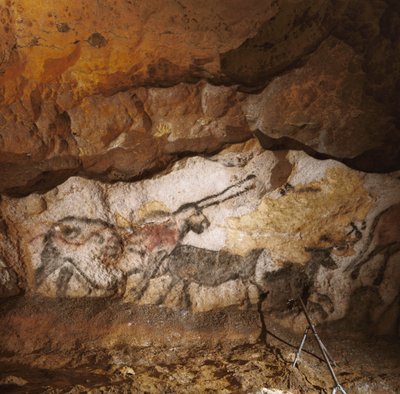 Mityczny jednorożec z Lascaux namalowany ponad 17 000 lat temu pokrywa białą, kalcytową... autorstwa Sisse Brimberg
