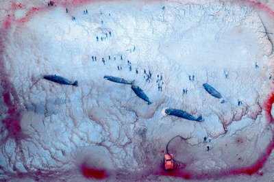 The Space Between, 2022 (zdjęcie ilustracyjne) autorstwa Sisse Brimberg