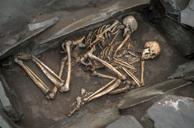Kości dwóch Scytów leżą w grobie sprzed 3000 lat w Arzhan-2, 2003 r. (zdjęcie) autorstwa Sisse Brimberg